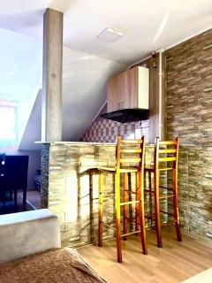 Apartmani Radovanovic - Soko Banja - 5