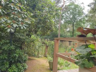 leuk chalet - Spier - 6