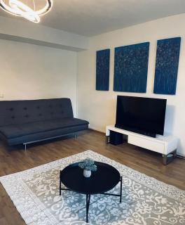 Spacious 1BR Downtown Apartment with Private Balcony - Jyväskylä - 8