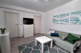 Bucharest city center apartment - Bucharest - 2
