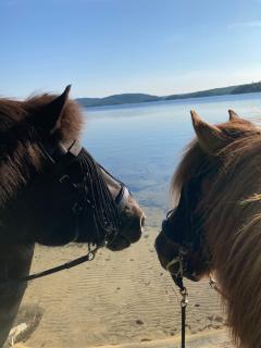 Stenlid - Med naturen och lugnet i fokus - 3