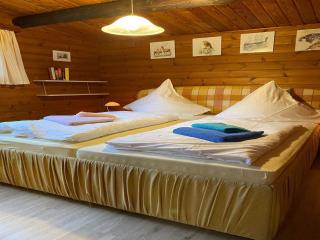 Cozy holiday home on a horse farm in the Lüneburg Heath - Eschede - 1