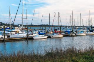 2204 Ocean Road - Saint Simons Island - 6
