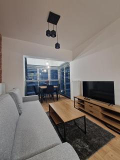 Apartament Paderewskiego Two Bedrooms Private Garage Air Condition - Rzeszów - 7