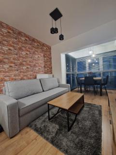 Apartament Paderewskiego Two Bedrooms Private Garage Air Condition - Rzeszów - 8