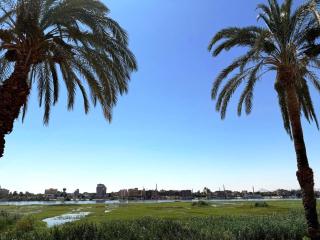 Nile Compound Garden - Al Aqālitah - 8