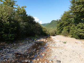 Bujtina Mazrrekut - - 1