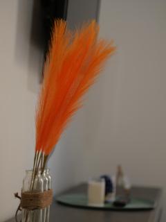 Casa Isla Holiday Suites - 3