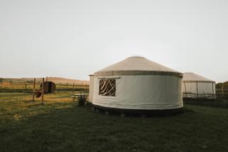 Oaza Wśród Pól -  - 0