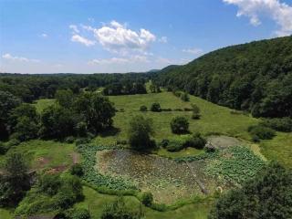 Chestnut Hill Farm - Saugerties - 1