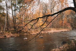 Chestnut Hill Farm - Saugerties - 8