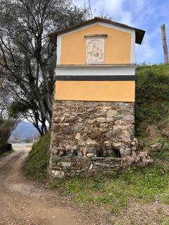 La Madonnina-house in the Bolano vineyard - Bolano - 5