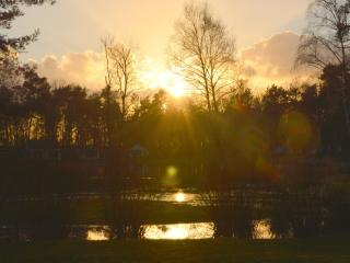 Alluring Holiday Home in Limburg near Forest - 2