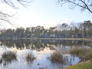 Alluring Holiday Home in Limburg near Forest - 3