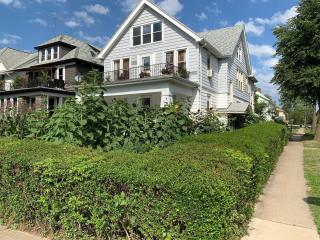 The Paradise House steps from the Heart of Hertel - Buffalo - 9