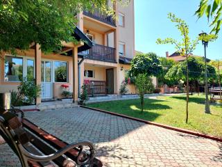 Vila Ramona Sokobanja - 1