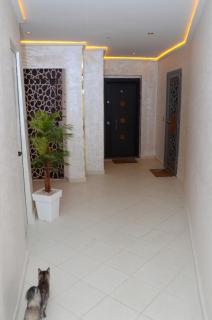 Rife apartment - Tanger - 7