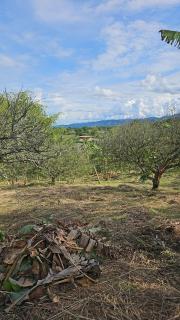 Hacienda tukuringa - Belén de Umbría - 0