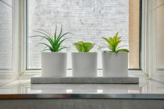 The Quiet Corner in Bromley - 8