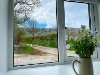 Snowdonia Cottages - Llangelynin - 1