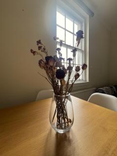 Edinburgh Centre - George Square Residence - Edimburgo - 3