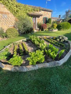 Casa Erica - Lubriano - 6