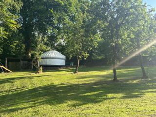 Bewley Glamping - Wambrook - 8