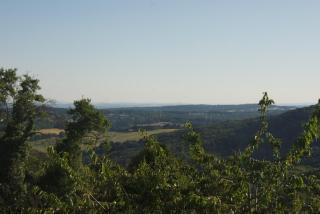 Weitblick im Taunus - Kelkheim - 1
