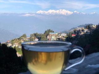 Corner Homestay by The Pine Cones - Darjeeling - 6