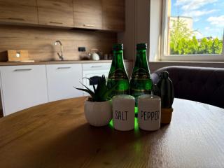 Apartamenty Uchnasta - Busko-Zdrój - 8