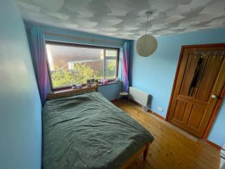 Beechwood - 1