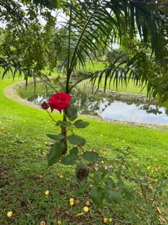 Quinta San Carlos - Santo Domingo de los Colorados - 7