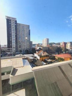 Departamento céntrico - Concepción - 1