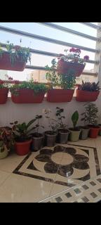 Elhouda eye - Agadir - 6