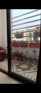 Elhouda eye - Agadir - 7