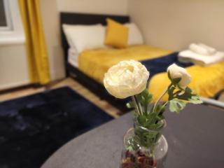 Chic Boutique Apart Hotel - Londra - 5