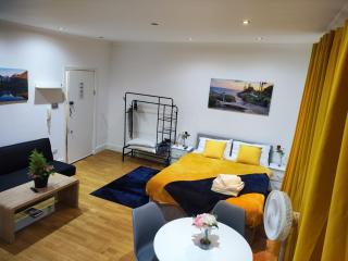 Chic Boutique Apart Hotel - Londra - 8