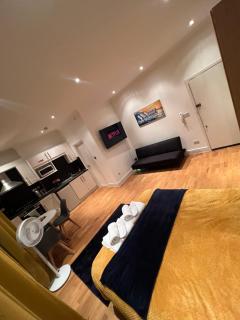 Chic Boutique Apart Hotel - Londra - 6