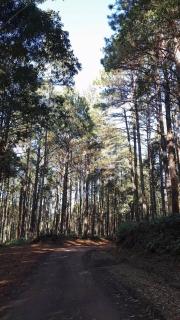 Recanto da simplicidade - São Francisco de Paula - 4