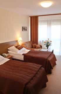 Hotel Activa - Muszyna - 9