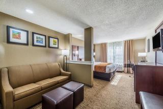 Comfort Inn & Suites Dayton North - Dayton - 9