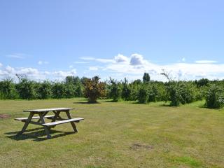 Hawthorne Cottage - Py8 - Preston - 5
