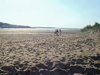 Waters Edge - Instow - 1