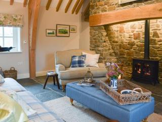 Soar Cottage - Dihewid - 6