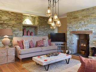 Fountain Hill - Eglwyswrw - 8