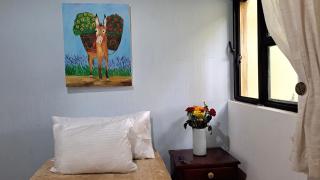 Casa Axixic - Ajijic - 6