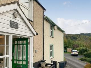 Afon Dulas Valley Cottage - Esgair-geiliog - 0