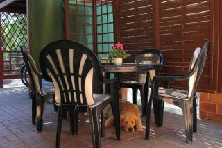 Ferienhaus In Alt Schadow Mit Grill Und Terrasse - Markische Heide - 2