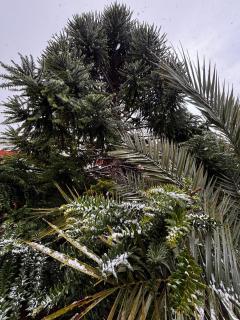 Pehuen Apartment - Trelew - 6