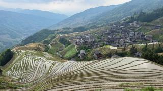 Longsheng Longji Rice Terraces Jingyue Hotel - Longsheng - 0